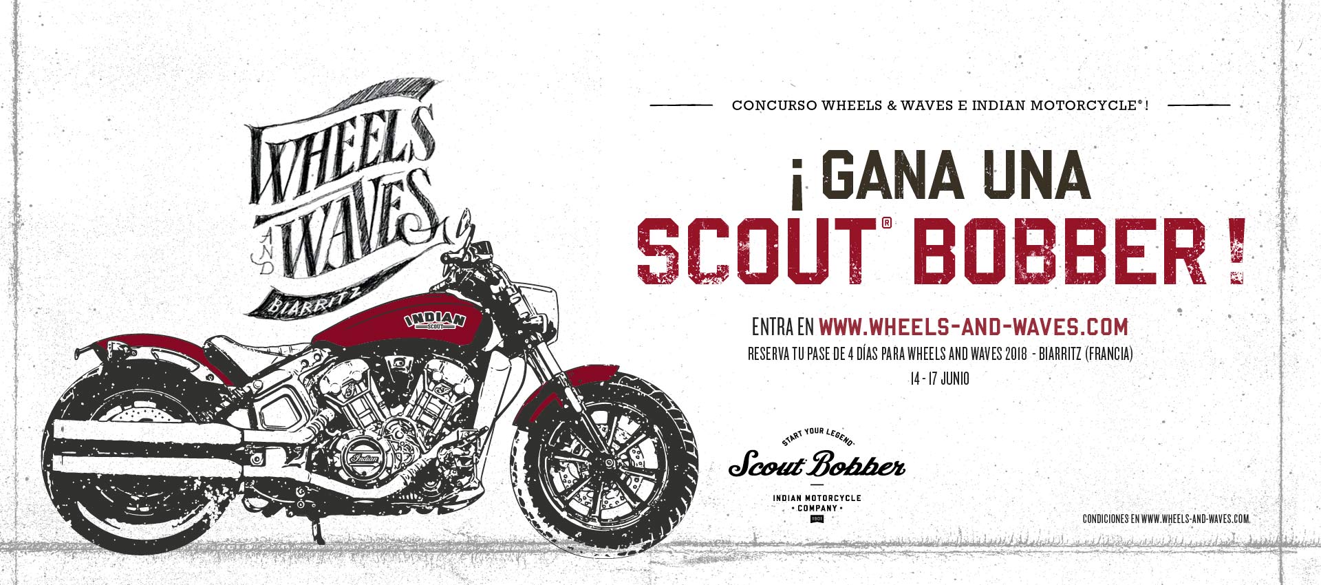 Indian Motor España